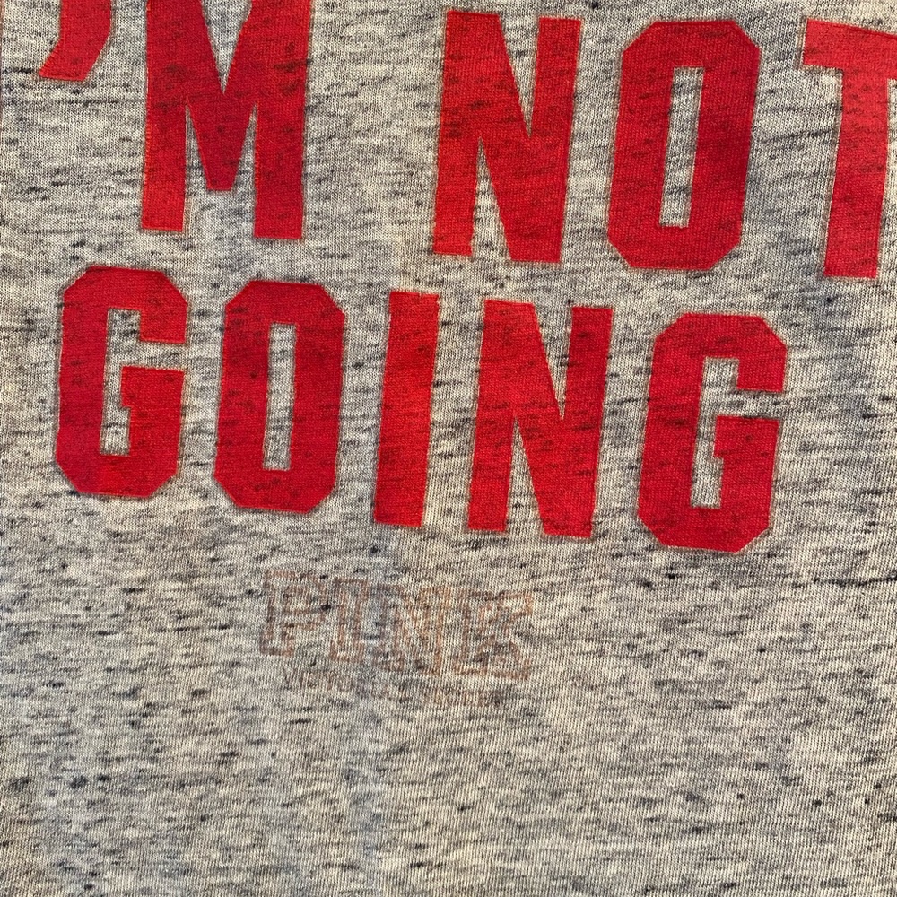 Victoria’s Secret PINK “If It’s Snowing” Short Sleeve  Graphic T-Shirt XS - Picture 4 of 7